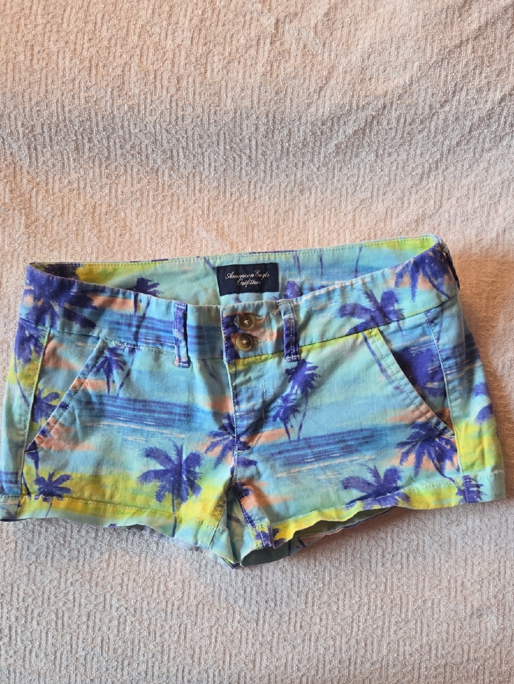 American Eagle Outfitters Multicolor Palm Print Women's Shorts